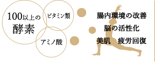 有機生甘酒 発芽玄米味味・発芽玄米味甘酒・生姜味甘酒・ブルーベリー味甘酒・発芽玄米甘酒